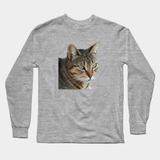 Stunning Tabby Cat Close Up Portrait Vector Isolated Long Sleeve T-Shirt